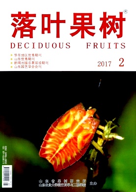 Ҷڿ