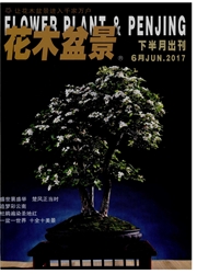 ľ辰(辰ʯ)ڿ