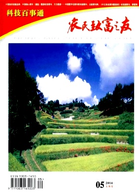 ũ¸֮־